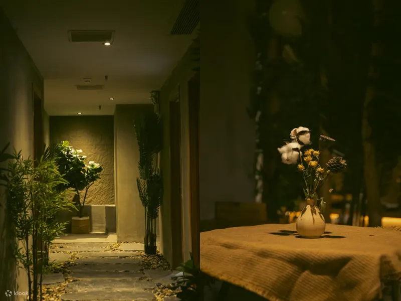  森spa | 泰式按摩 | 森林故事·国贸店